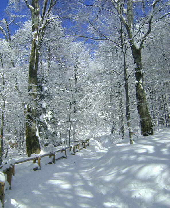 Zimowy szlak / Fot. Aneta Jamroży