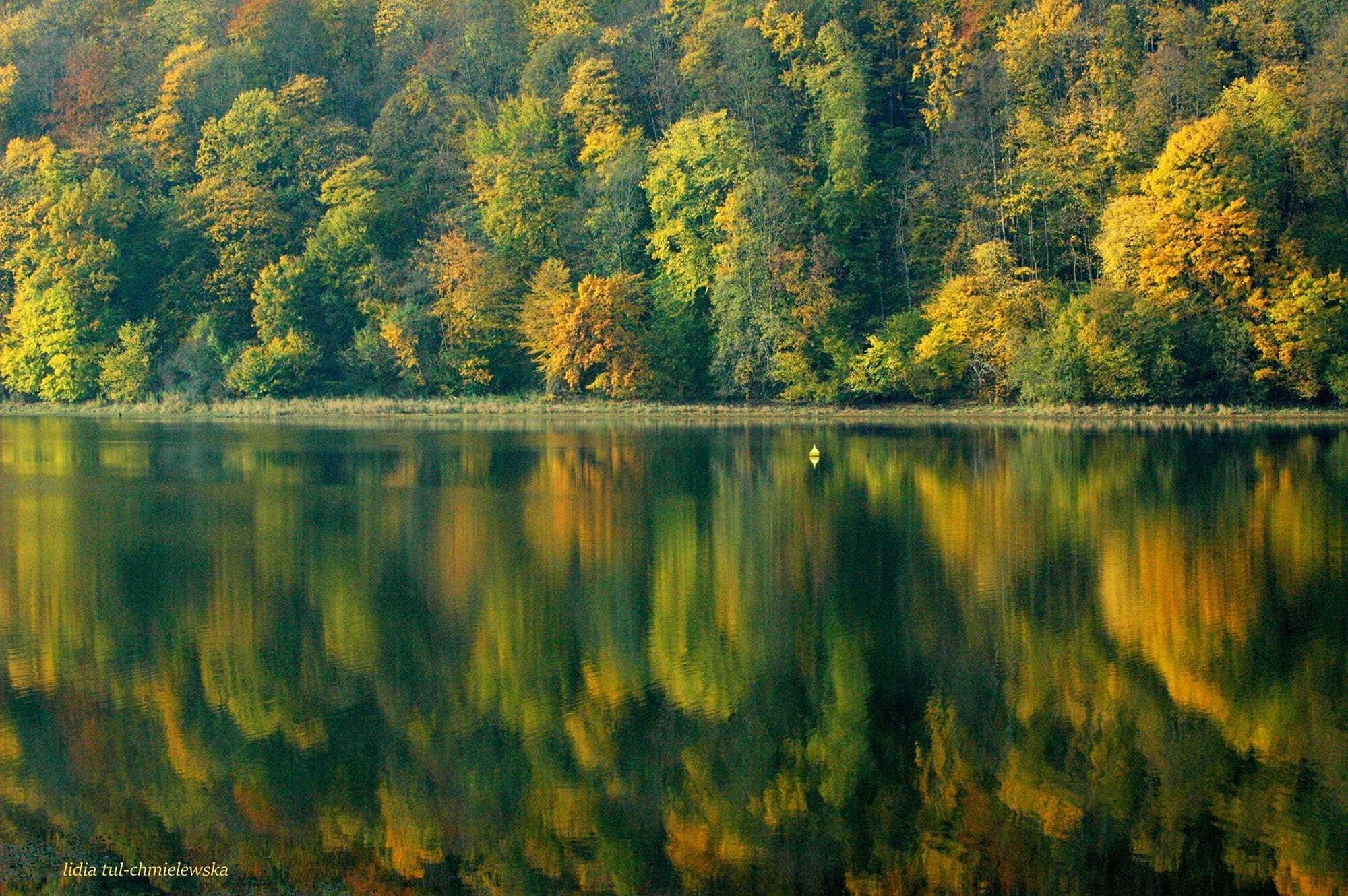 Jezioro Myczkowskie / fot. Lidia Tul-Chmielewska