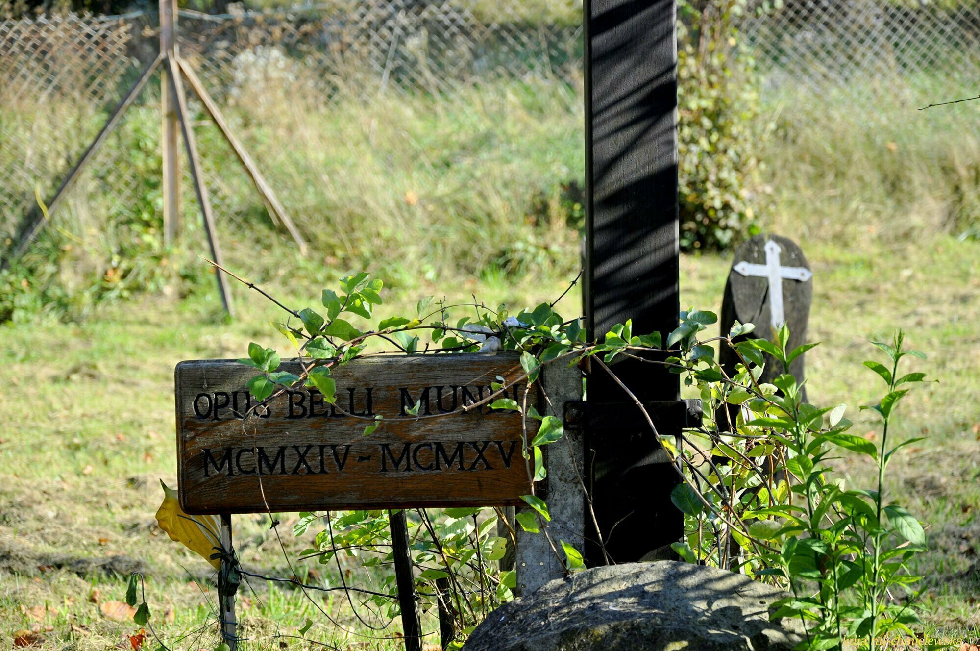 Cmentarz wojskowy w Lesku / fot. Lidia Tul-Chmielewska