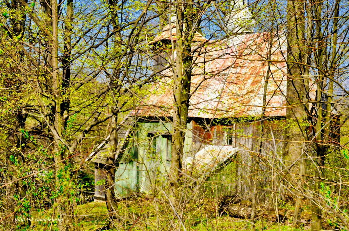Cerkiew w Rakowej / fot. Lidia Tul-Chmielewska