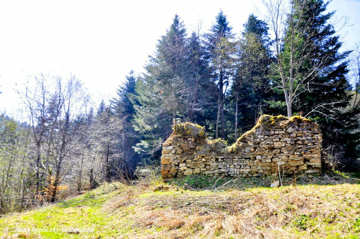 Ruiny kapliczki w Zawozie / fot. Lidia Tul-Chmielewska
