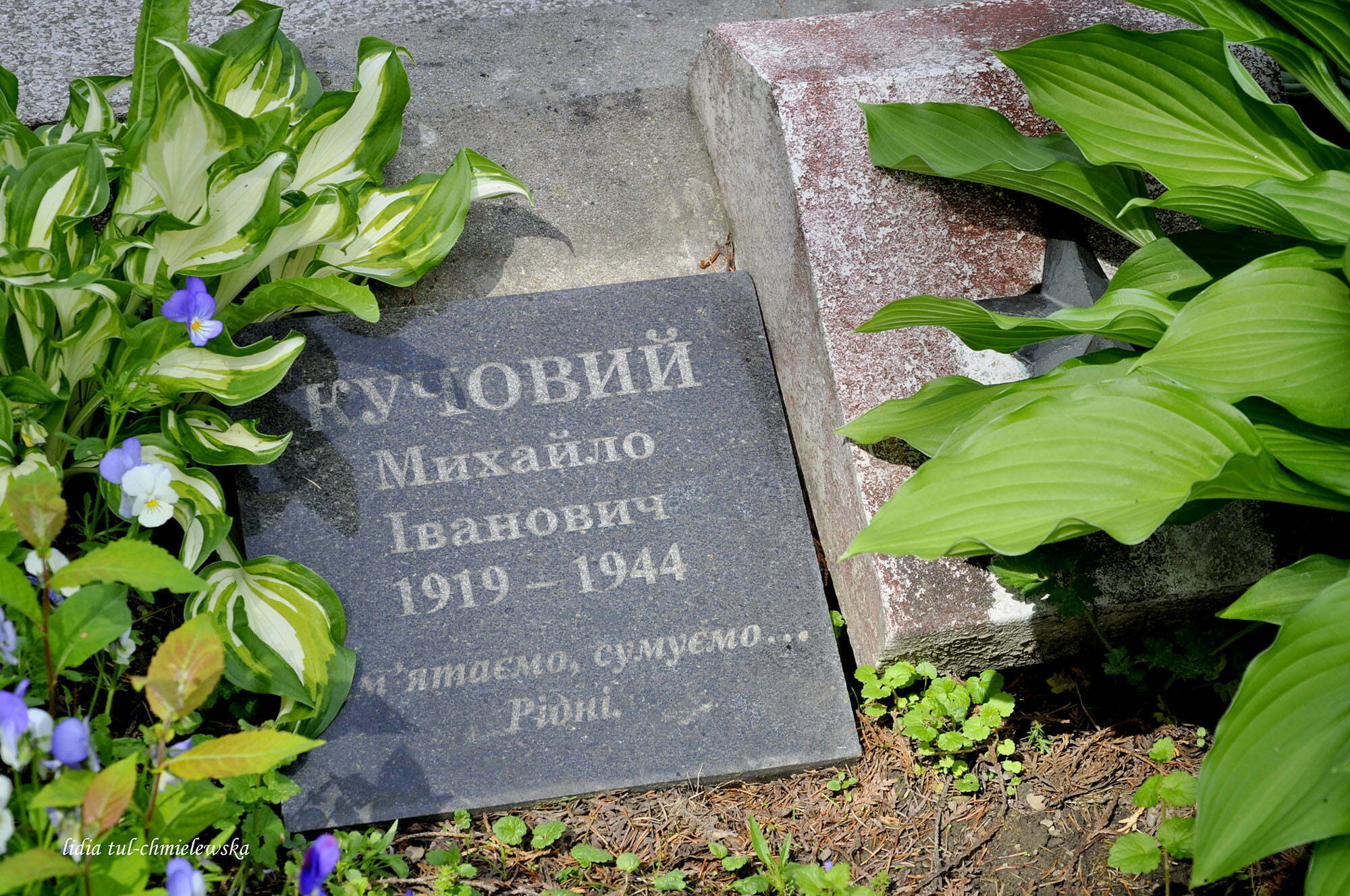 Cmentarz w Baligrodzie / fot. Lidia Tul-Chmielewska