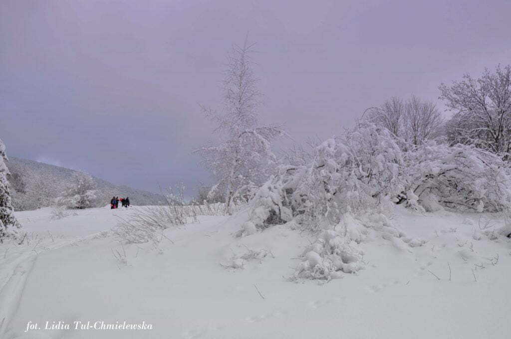 Zima w Bieszczadach fot. Lidia Tul-Chmielewska