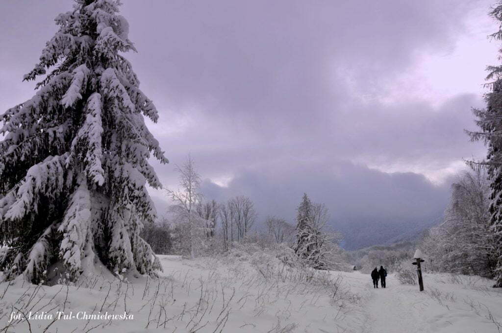 Zimowo w Bieszczadach / fot. Lidia Tul-Chmielewska