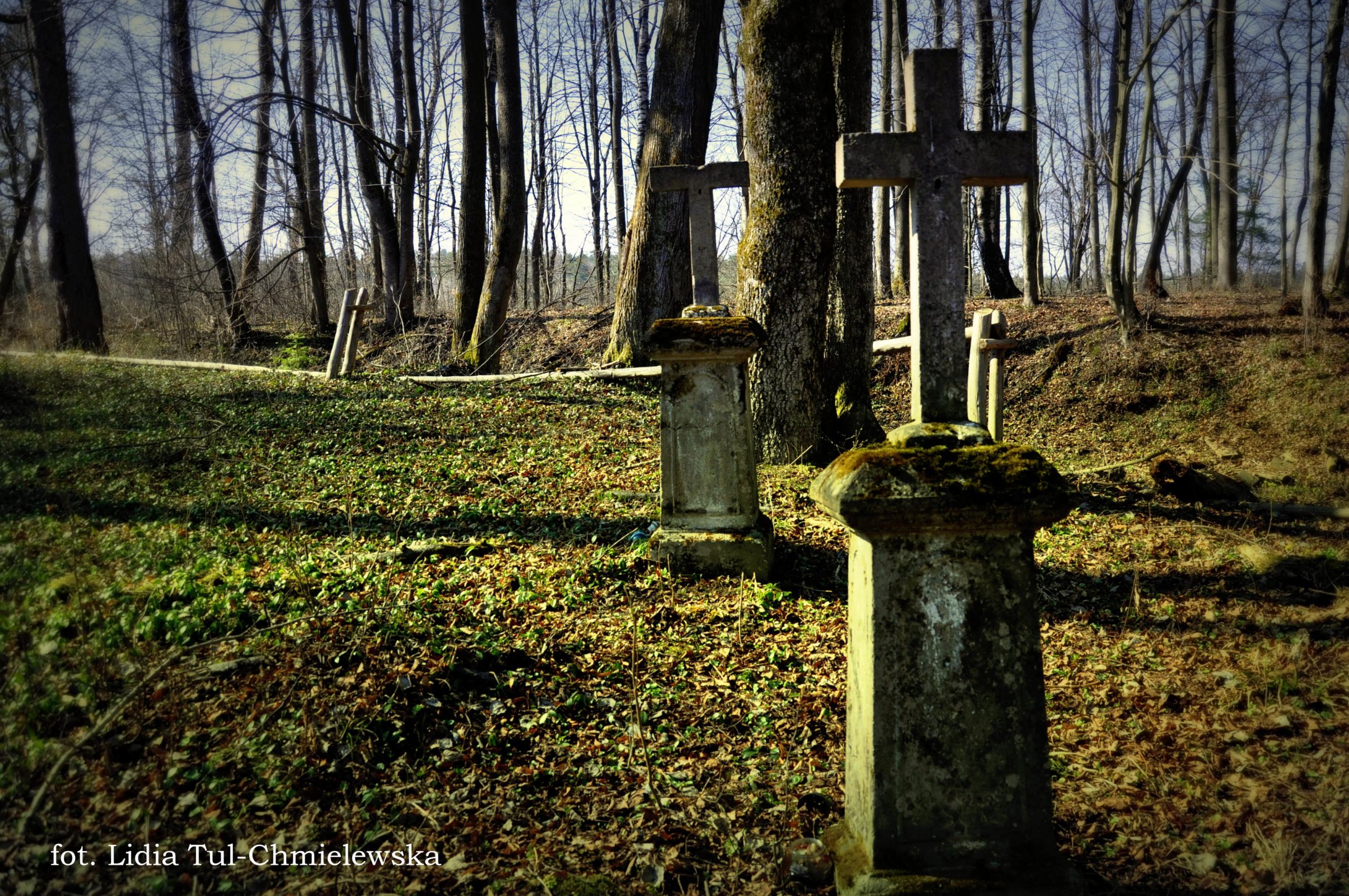 Pozostałości cmentarza w Horodku fot. Lidia Tul-Chmielewska-