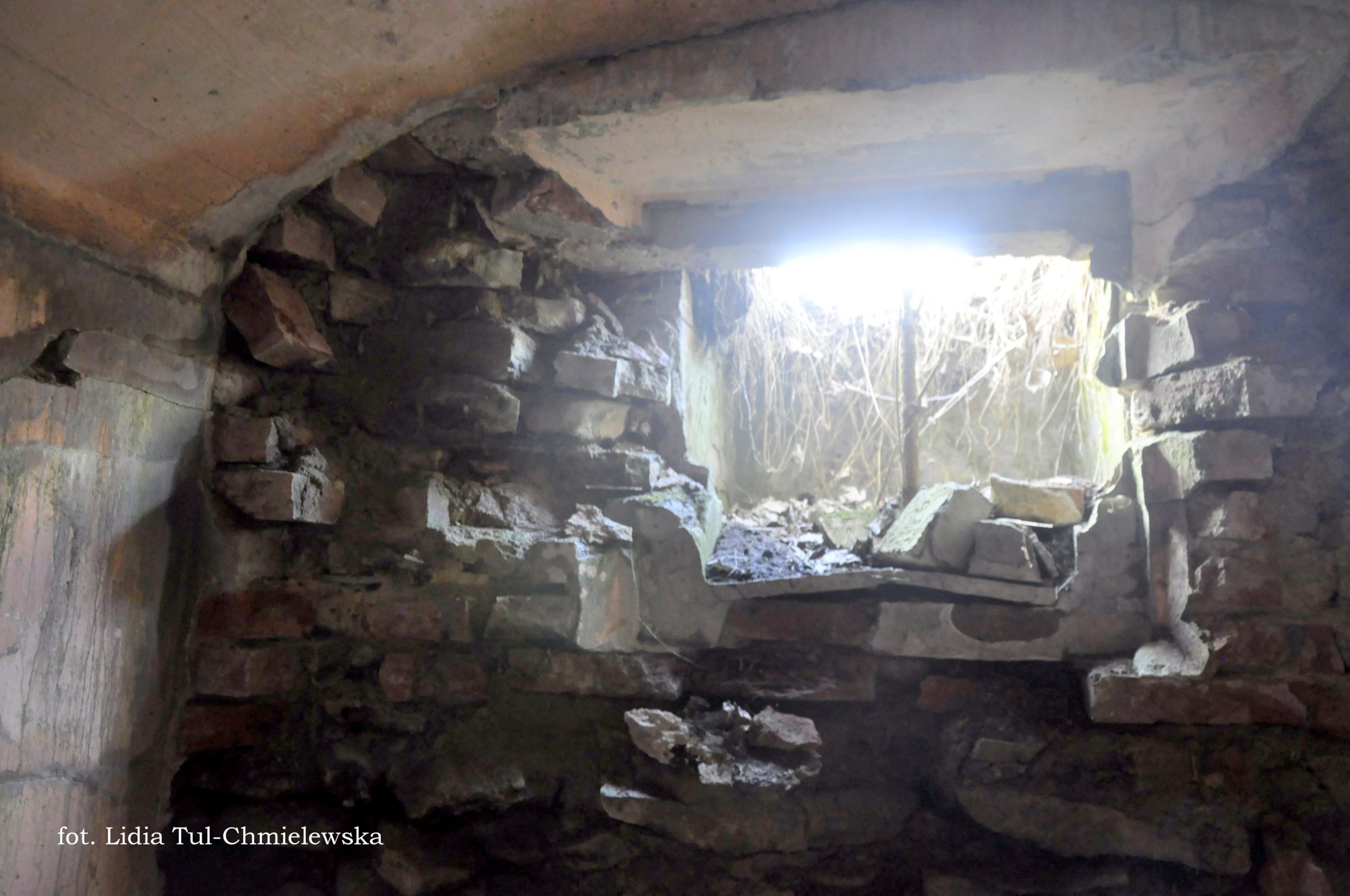 Ruiny strażnicy niemieckiej Tworylne fot. Lidia Tul-Chmielewska