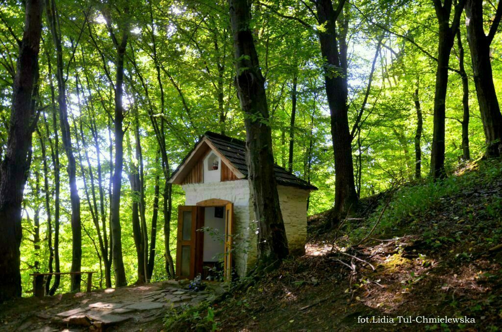 Kapliczka w Uluczu u stóp wzgórza Dubnyk fot. Lidia Tul-Chmielewska
