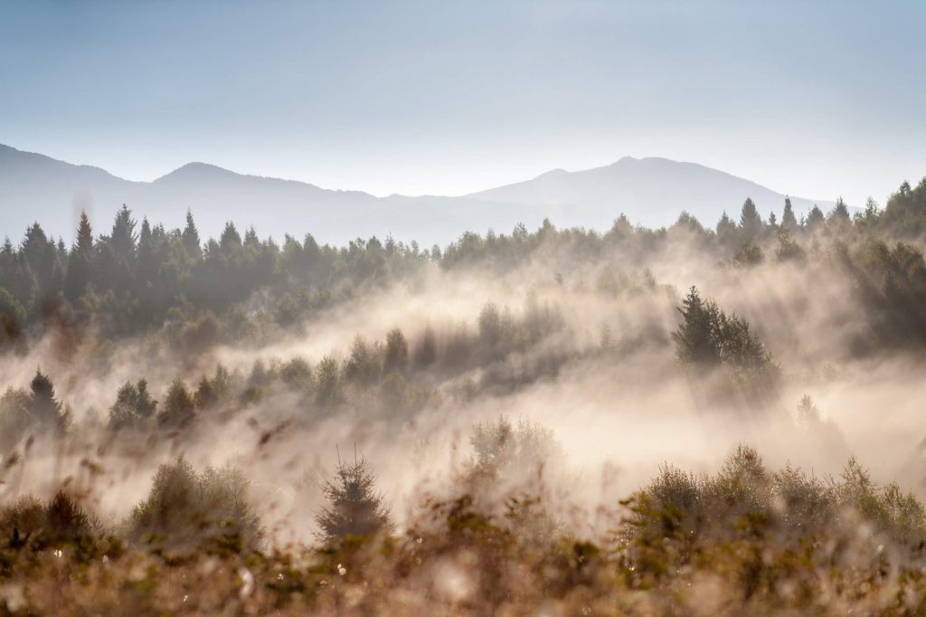 Bieszczadzkie mgły i parujące lasy